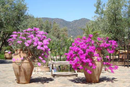 Morocco Booking.com