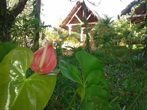 Madagascar Booking.com