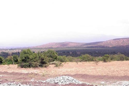 Kenya Booking.com