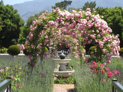 South Africa Booking.com