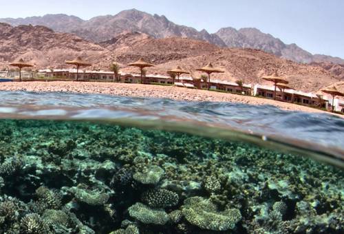 Egypt Booking.com